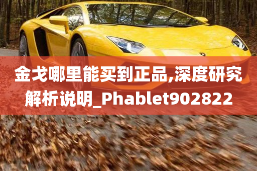 金戈哪里能买到正品,深度研究解析说明_Phablet902822