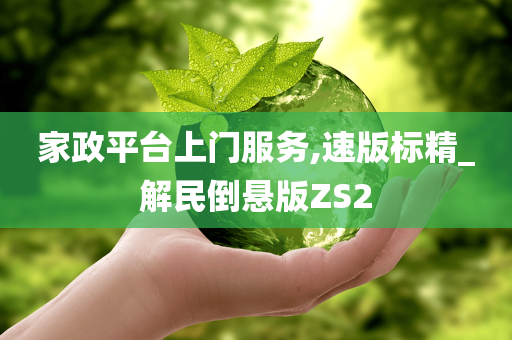 家政平台上门服务,速版标精_解民倒悬版ZS2