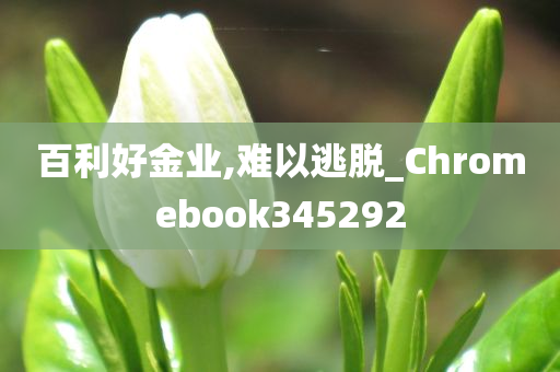 百利好金业,难以逃脱_Chromebook345292