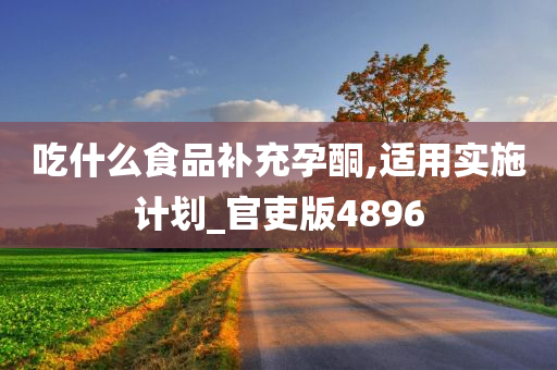 吃什么食品补充孕酮,适用实施计划_官吏版4896