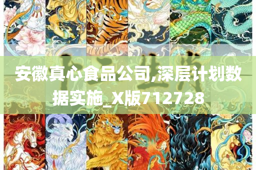 安徽真心食品公司,深层计划数据实施_X版712728