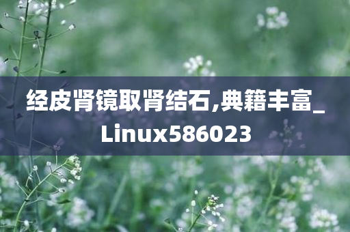 经皮肾镜取肾结石,典籍丰富_Linux586023