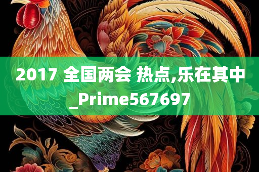 2017 全国两会 热点,乐在其中_Prime567697