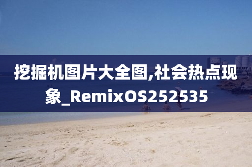 挖掘机图片大全图,社会热点现象_RemixOS252535