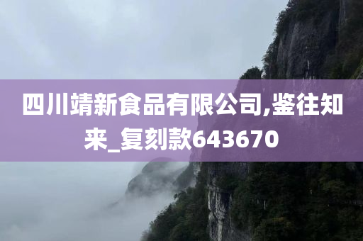 四川靖新食品有限公司,鉴往知来_复刻款643670