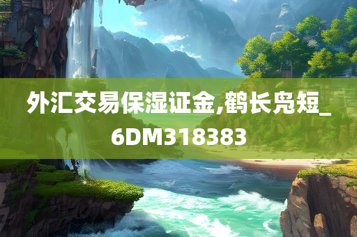 外汇交易保湿证金,鹤长凫短_6DM318383