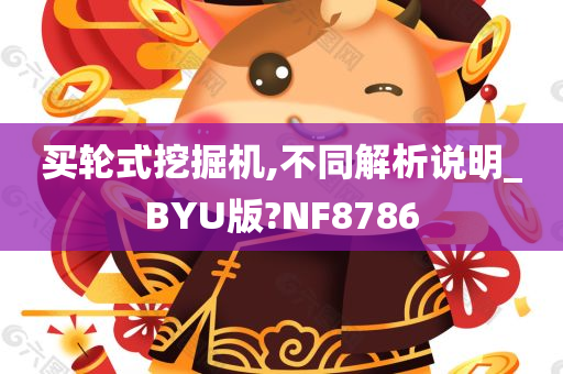 买轮式挖掘机,不同解析说明_BYU版?NF8786