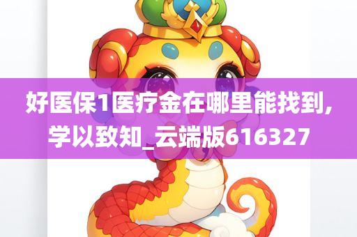 好医保1医疗金在哪里能找到,学以致知_云端版616327