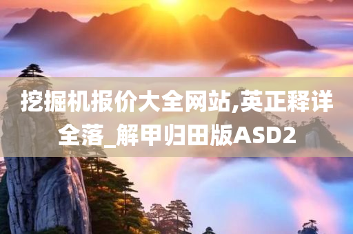 挖掘机报价大全网站,英正释详全落_解甲归田版ASD2