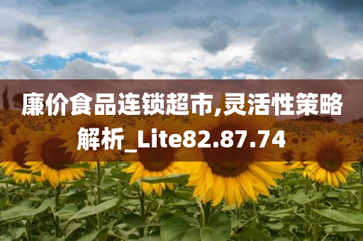 廉价食品连锁超市,灵活性策略解析_Lite82.87.74