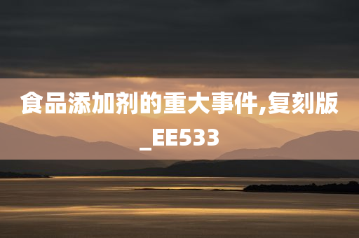 食品添加剂的重大事件,复刻版_EE533