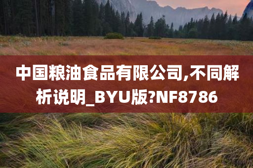 中国粮油食品有限公司,不同解析说明_BYU版?NF8786