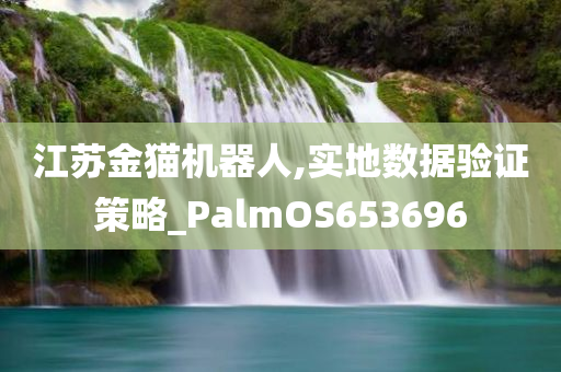 江苏金猫机器人,实地数据验证策略_PalmOS653696