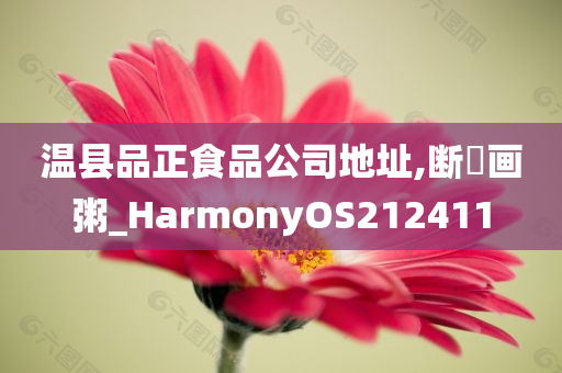 温县品正食品公司地址,断虀画粥_HarmonyOS212411