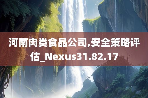 河南肉类食品公司,安全策略评估_Nexus31.82.17