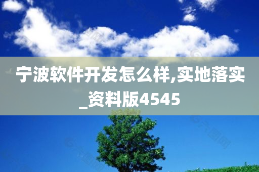 宁波软件开发怎么样,实地落实_资料版4545