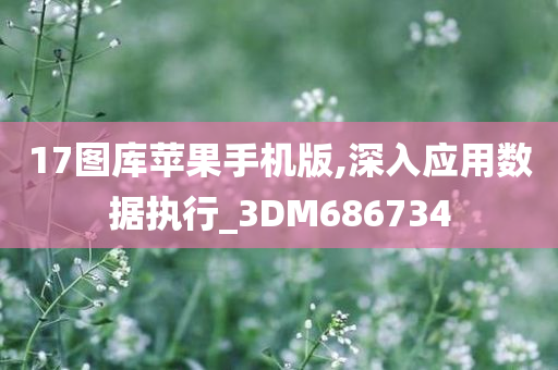 17图库苹果手机版,深入应用数据执行_3DM686734