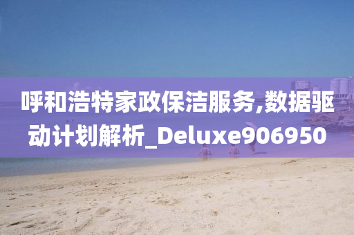 呼和浩特家政保洁服务,数据驱动计划解析_Deluxe906950