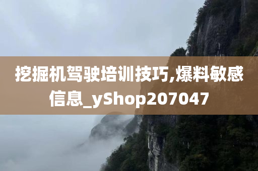 挖掘机驾驶培训技巧,爆料敏感信息_yShop207047