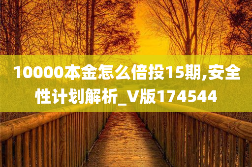 10000本金怎么倍投15期,安全性计划解析_V版174544