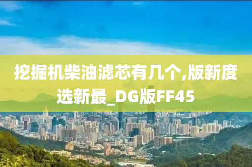 挖掘机柴油滤芯有几个,版新度选新最_DG版FF45