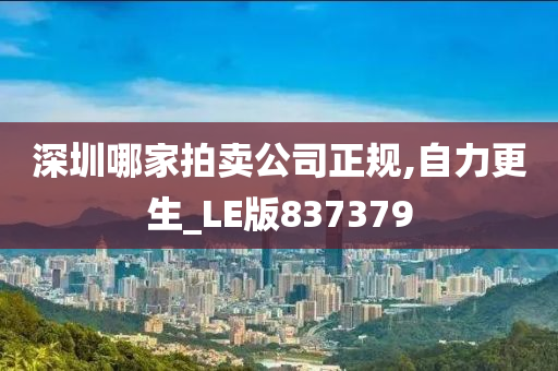 深圳哪家拍卖公司正规,自力更生_LE版837379