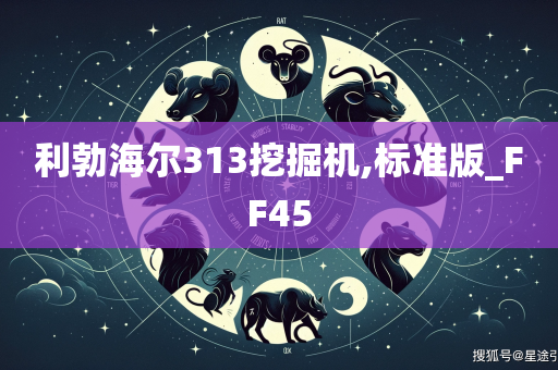 利勃海尔313挖掘机,标准版_FF45