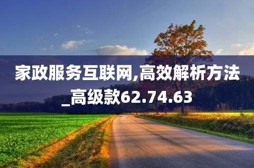 家政服务互联网,高效解析方法_高级款62.74.63