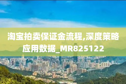 淘宝拍卖保证金流程,深度策略应用数据_MR825122