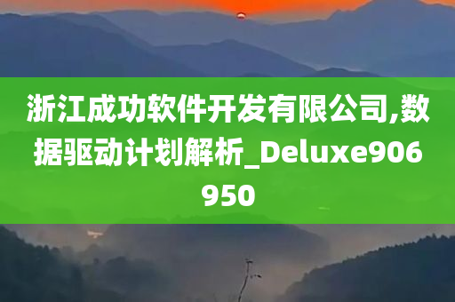 浙江成功软件开发有限公司,数据驱动计划解析_Deluxe906950