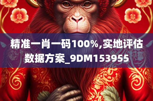 精准一肖一码100%,实地评估数据方案_9DM153955