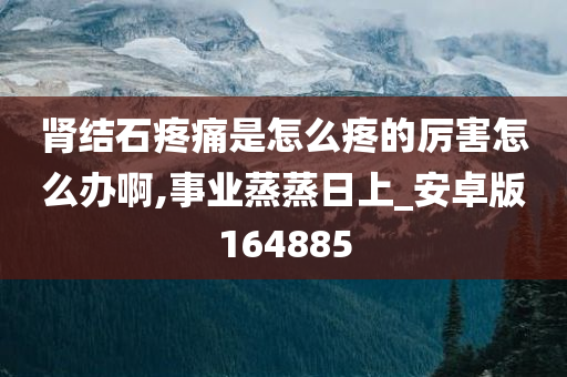 肾结石疼痛是怎么疼的厉害怎么办啊,事业蒸蒸日上_安卓版164885