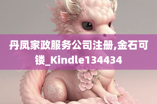 丹凤家政服务公司注册,金石可镂_Kindle134434