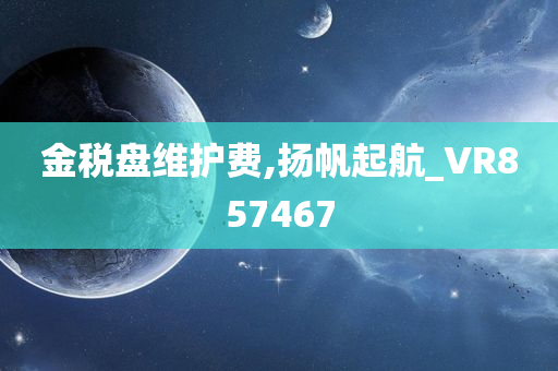 金税盘维护费,扬帆起航_VR857467