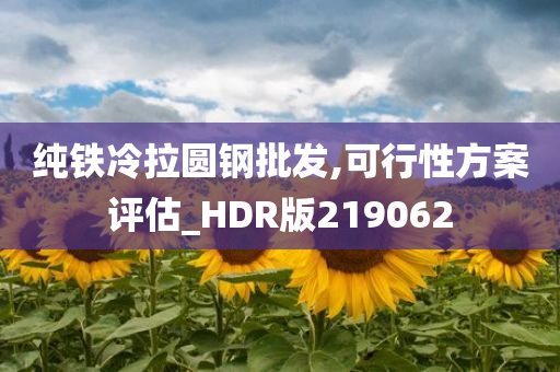 纯铁冷拉圆钢批发,可行性方案评估_HDR版219062