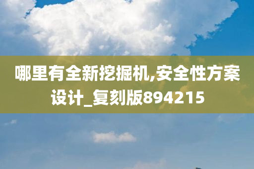 哪里有全新挖掘机,安全性方案设计_复刻版894215