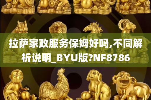 拉萨家政服务保姆好吗,不同解析说明_BYU版?NF8786