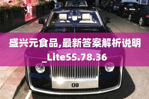 盛兴元食品,最新答案解析说明_Lite55.78.36