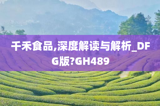 千禾食品,深度解读与解析_DFG版?GH489