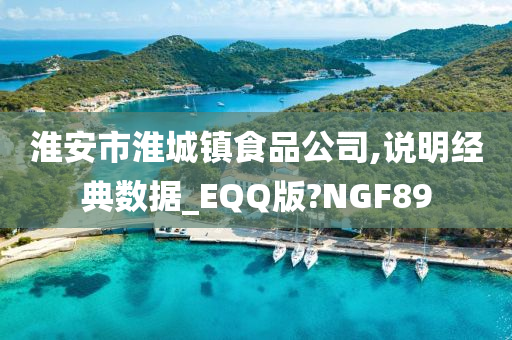 淮安市淮城镇食品公司,说明经典数据_EQQ版?NGF89