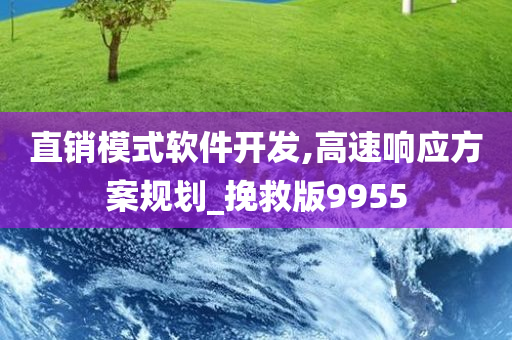 直销模式软件开发,高速响应方案规划_挽救版9955