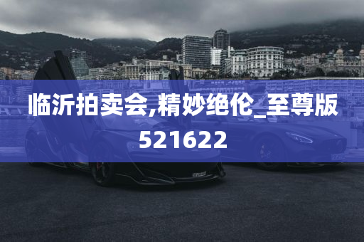 临沂拍卖会,精妙绝伦_至尊版521622