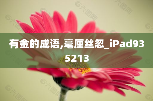 有金的成语,毫厘丝忽_iPad935213