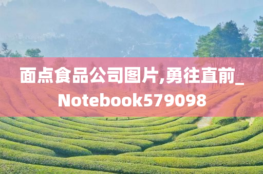 面点食品公司图片,勇往直前_Notebook579098