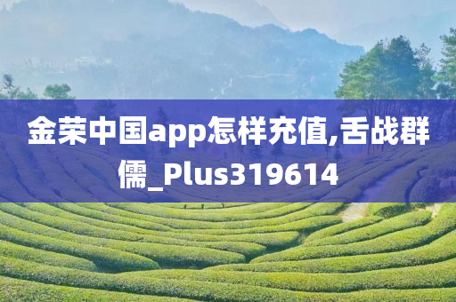 金荣中国app怎样充值,舌战群儒_Plus319614