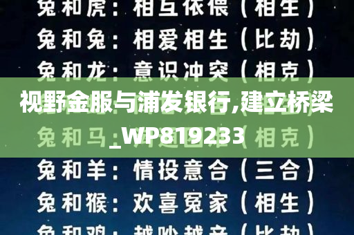 视野金服与浦发银行,建立桥梁_WP819233