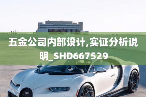 五金公司内部设计,实证分析说明_SHD667529