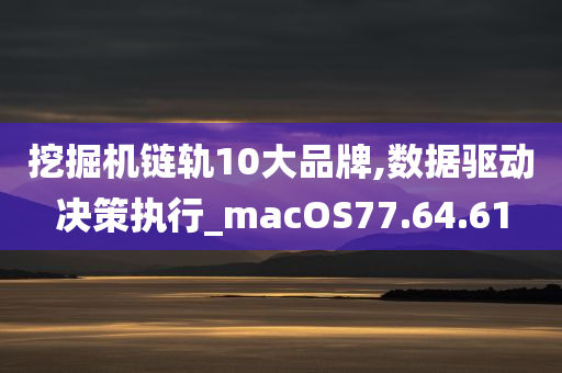 挖掘机链轨10大品牌,数据驱动决策执行_macOS77.64.61