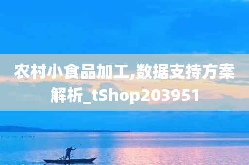 农村小食品加工,数据支持方案解析_tShop203951