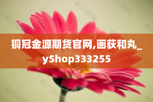 铜冠金源期货官网,画荻和丸_yShop333255